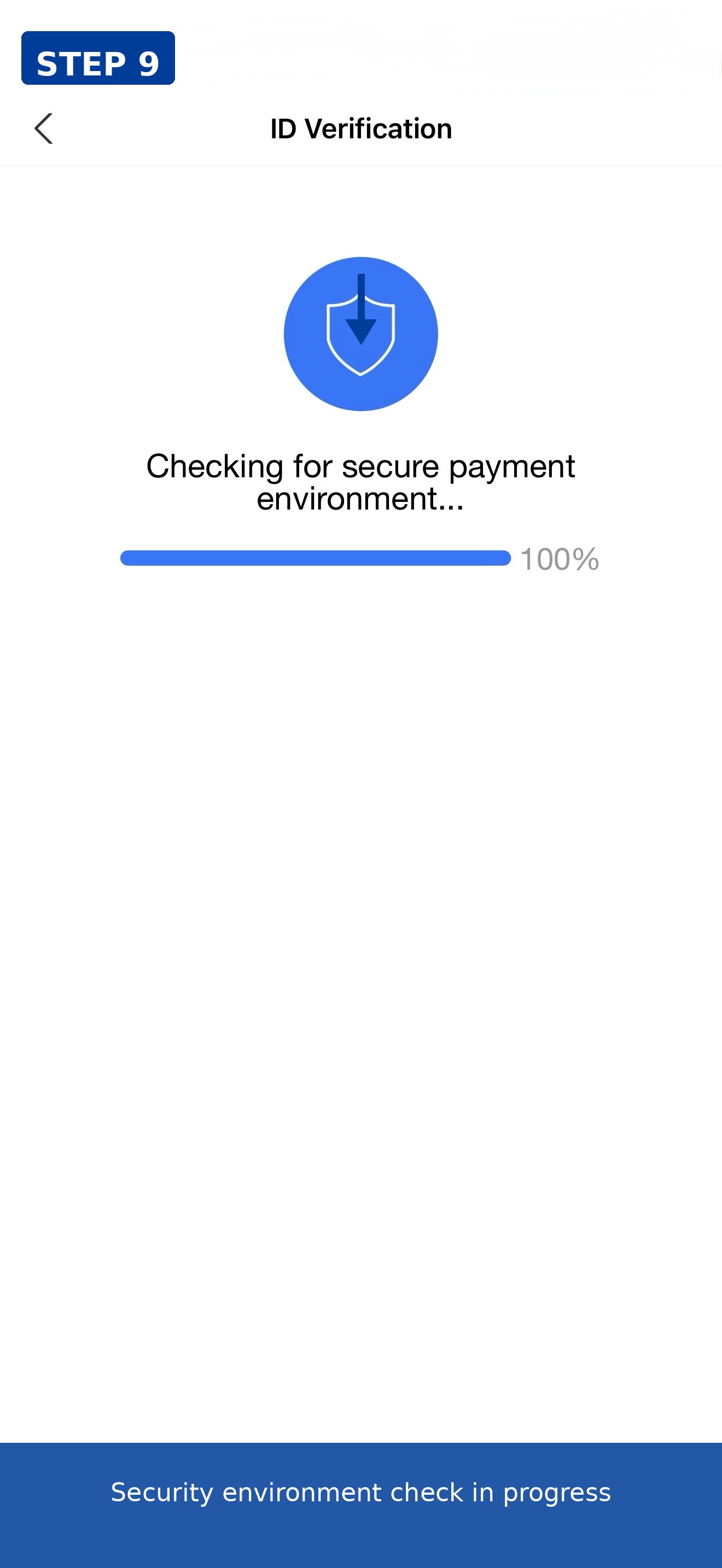 Security environment check
