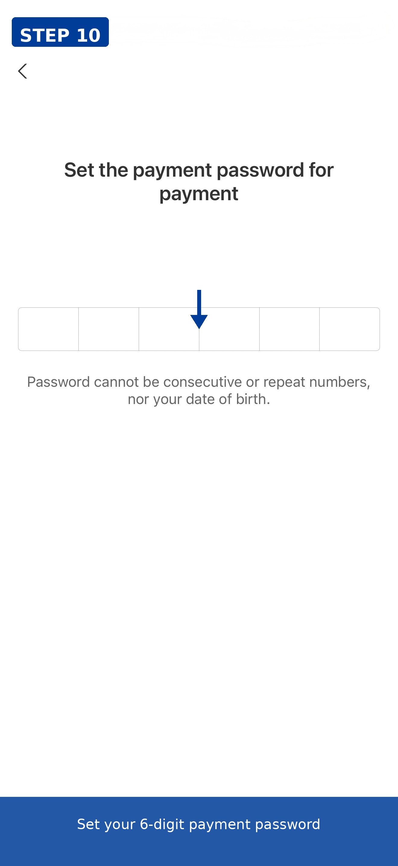 Set 6-digit payment password