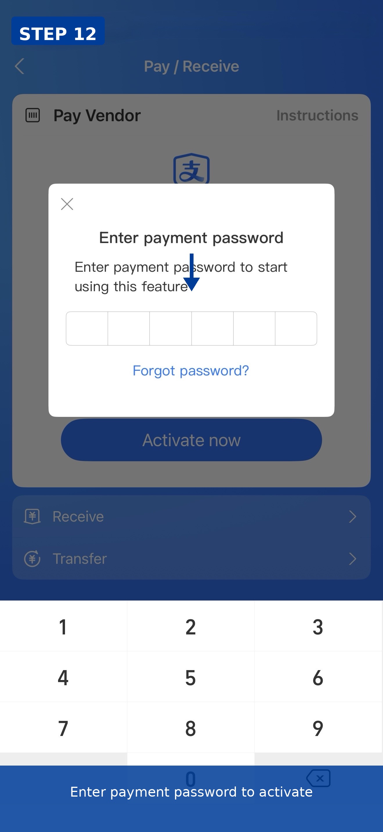 Enter payment password to activate