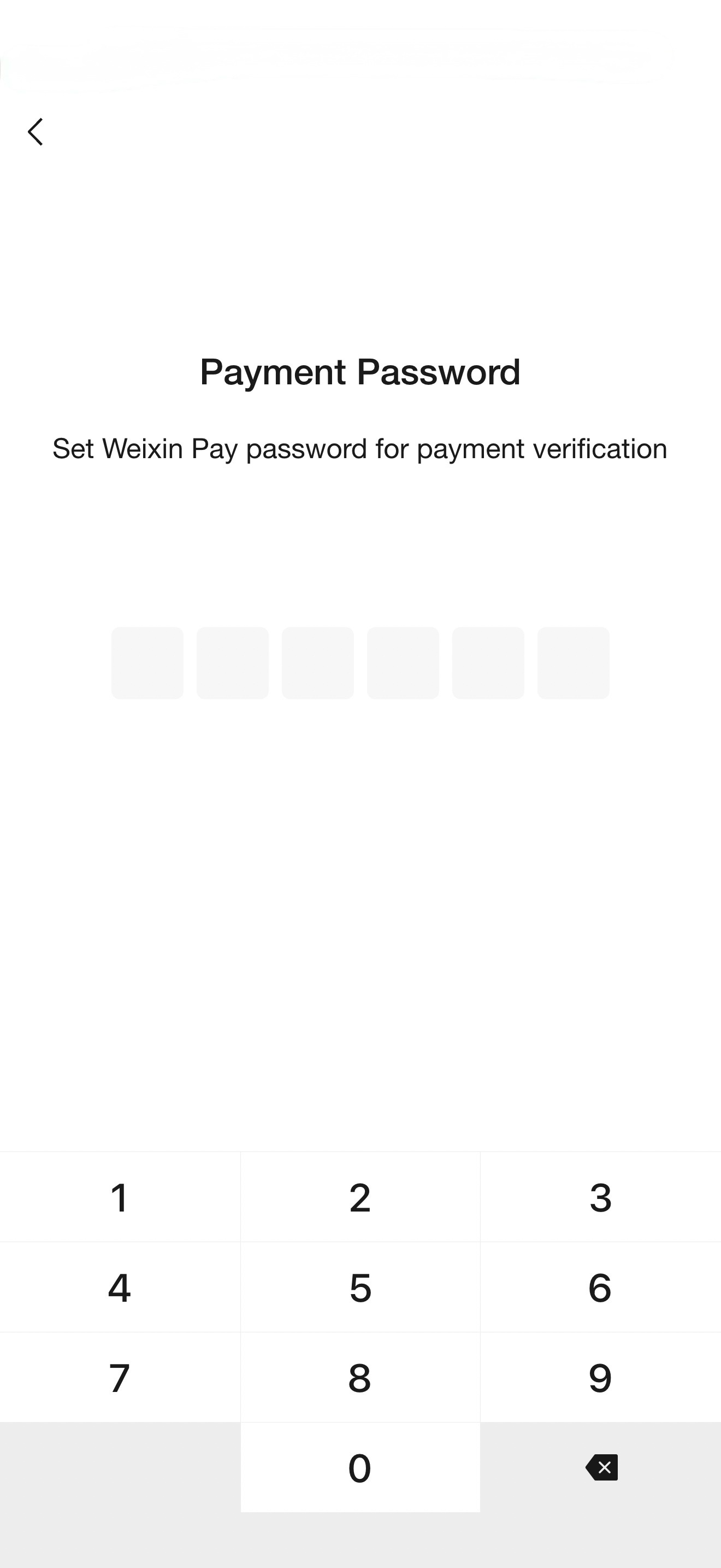 WeChat Pay step 19